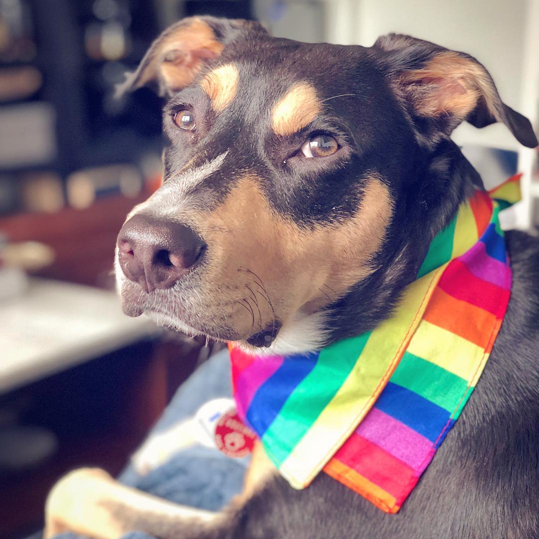 Happy Pride from our Family to Yours
