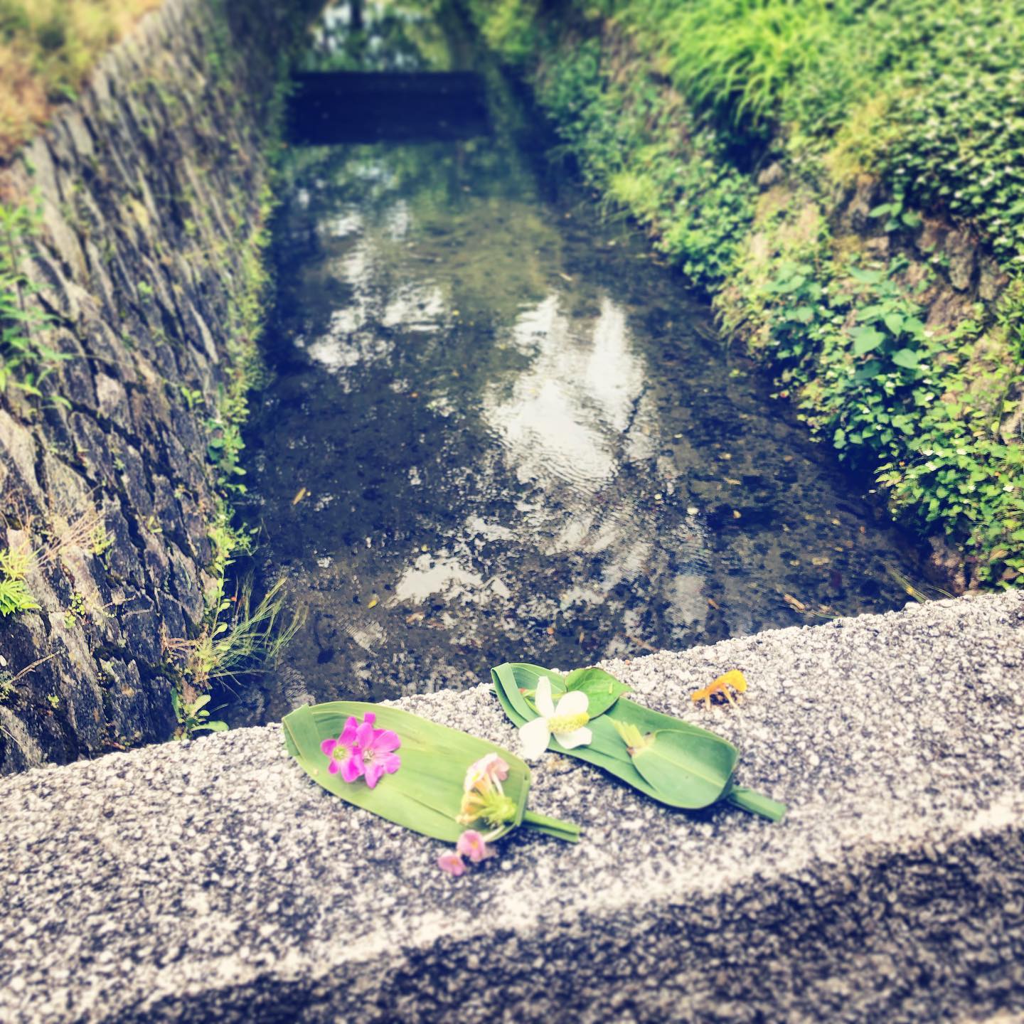 Boats on the Philosophers walk