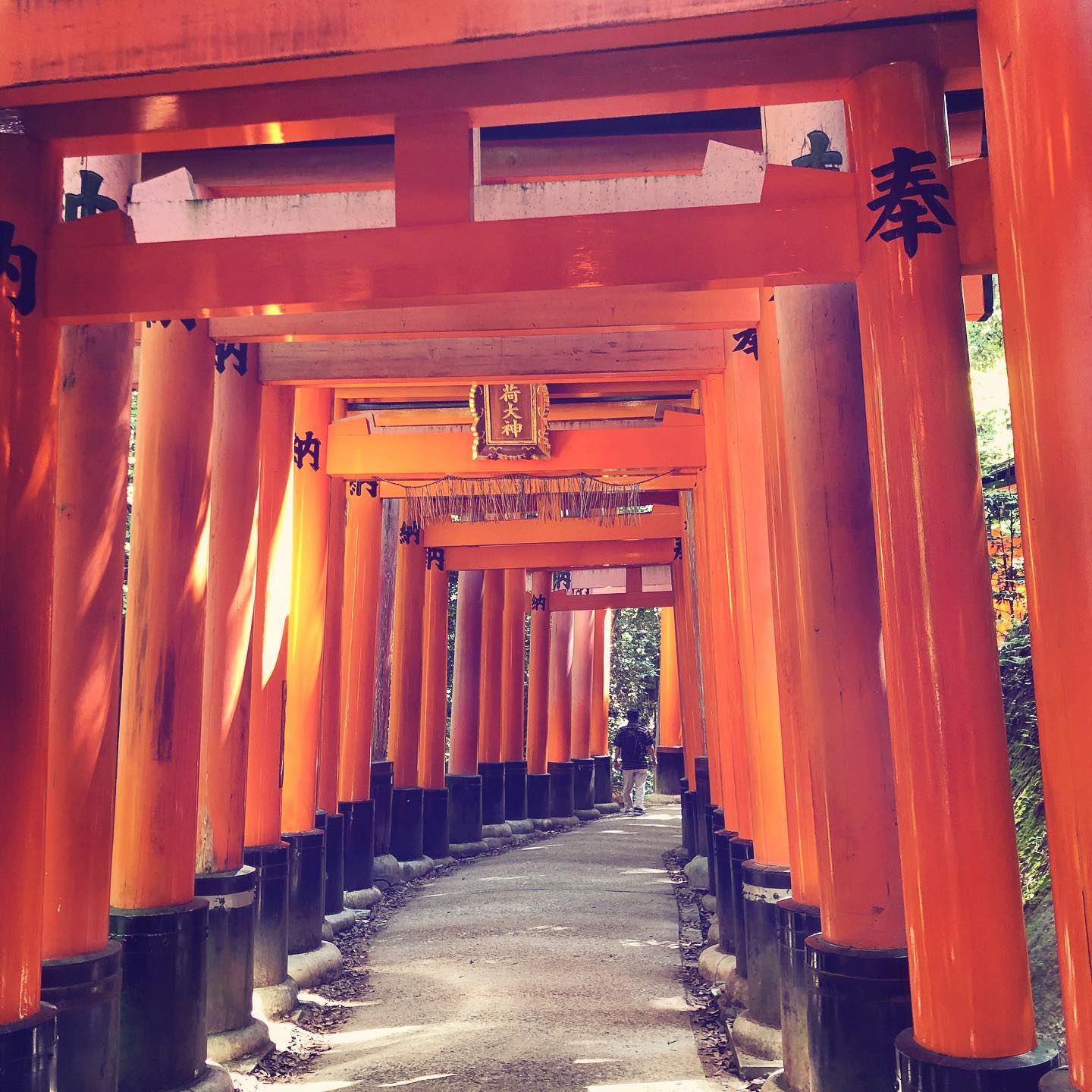 Through the Red Gates