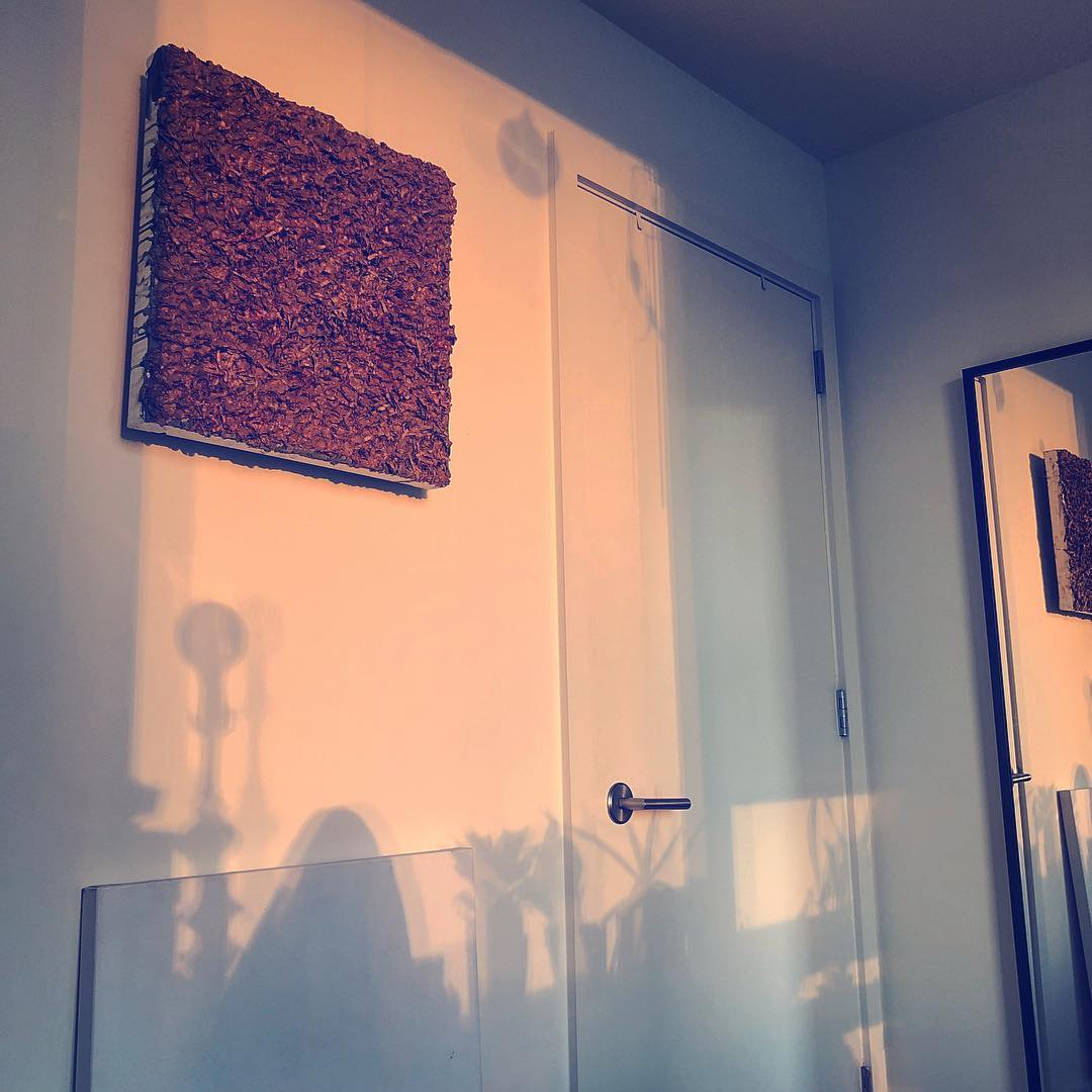 Morning Light waiting for Angel