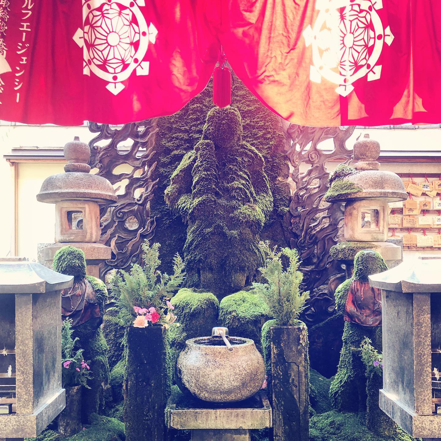 Morning Visit before a hot day