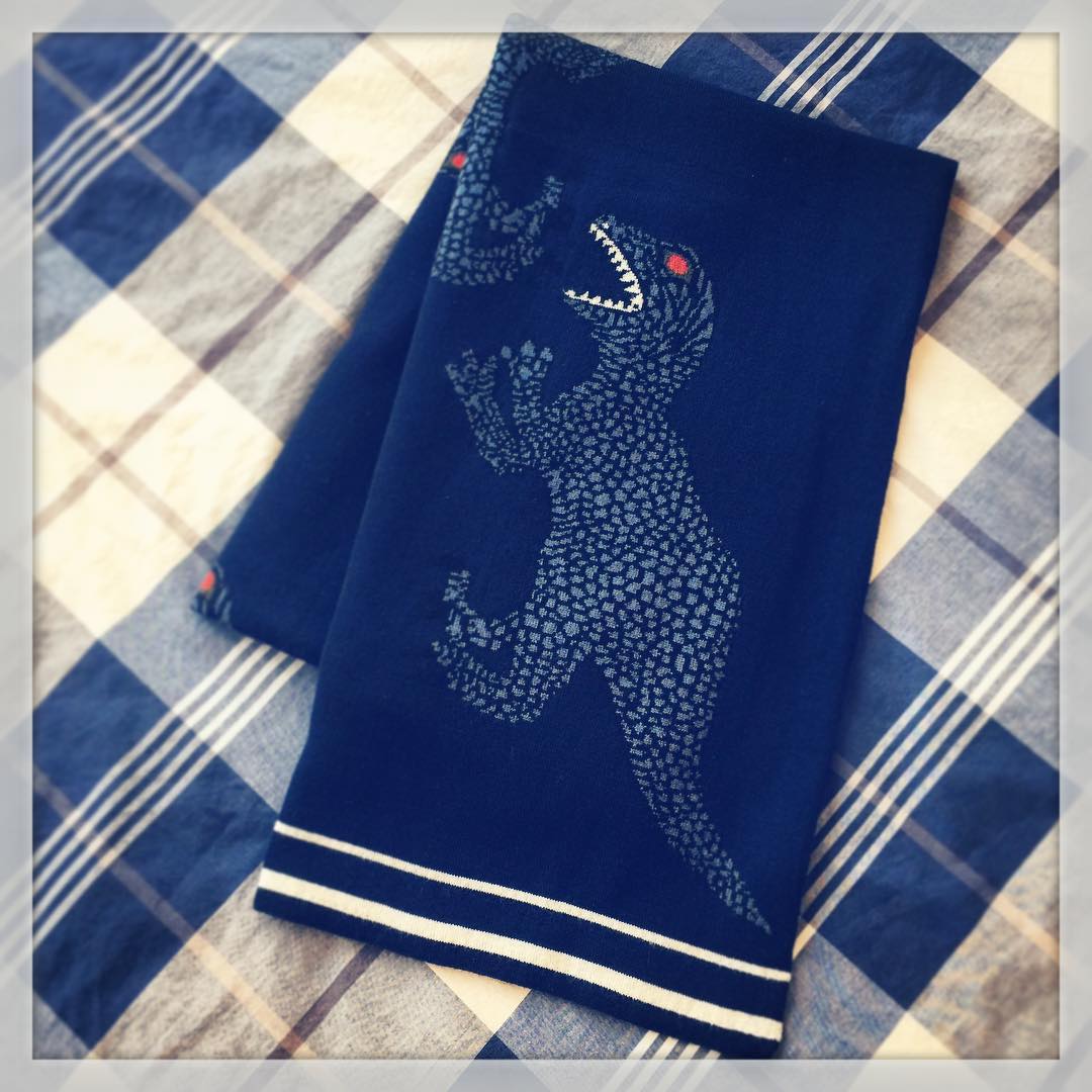 Blue Dinosaur Birthday Scarf