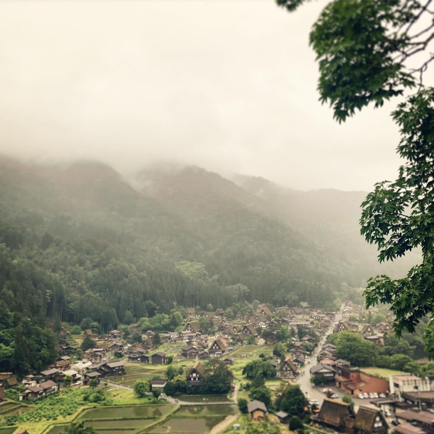 Village in the fog & rain