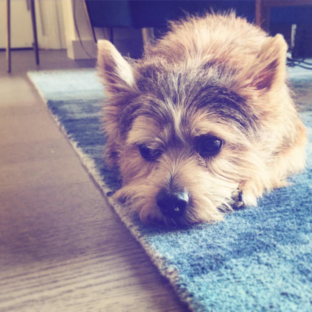 A very Whiskey Weekend