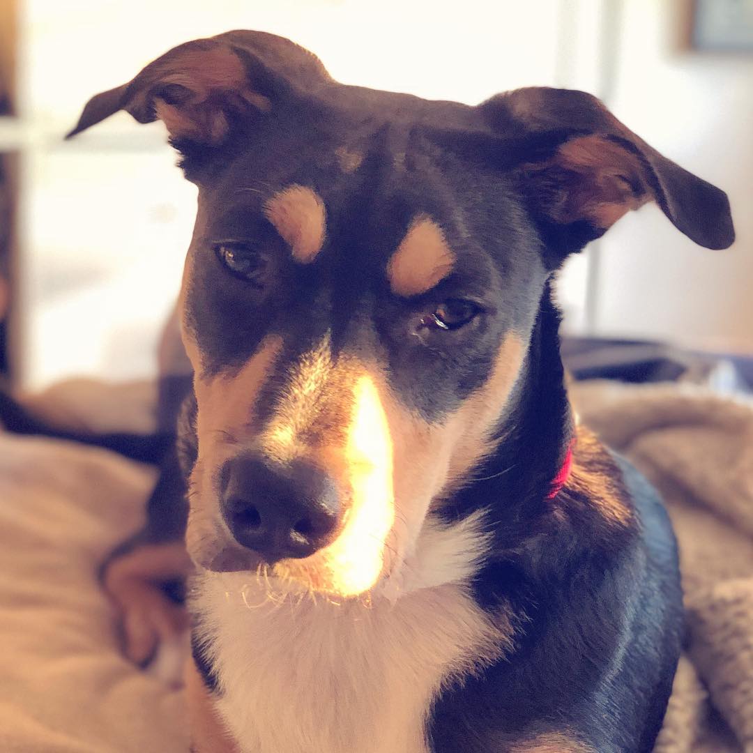 The Morning face I love