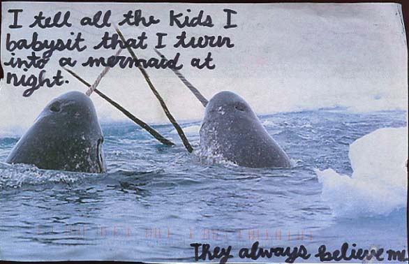 Exciting Sword Fight Adventure