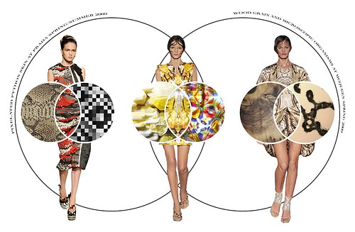 Captivating Nature Photography