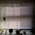 my Pennsylvania bedroom window