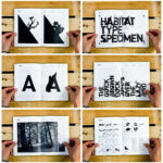 Habitat Type Specimen