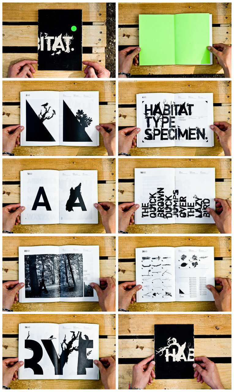 Habitat Type Specimen