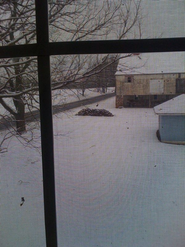 Snowy Bliss: A Winter Wonderland at Home