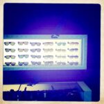 Display of stylish Diesel sunglasses in various colors.