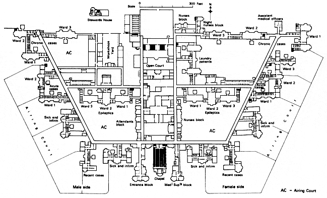 Architecture of Insanity