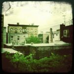 Urban rooftops with greenery in Williamsburg, NYC.