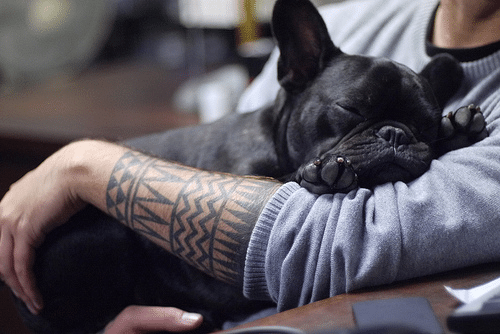 Beware sleeping gremlin!