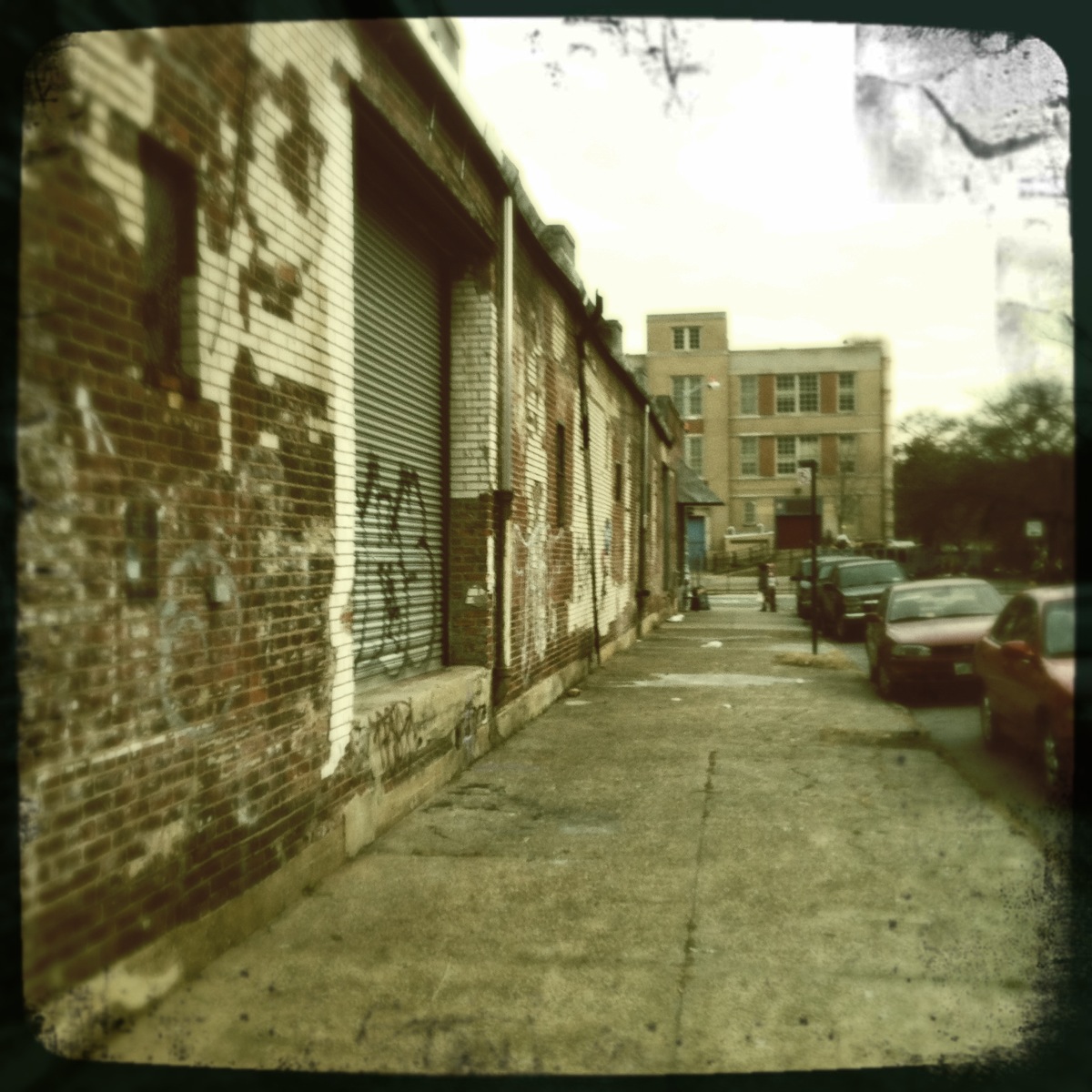 A Dismal Williamsburg