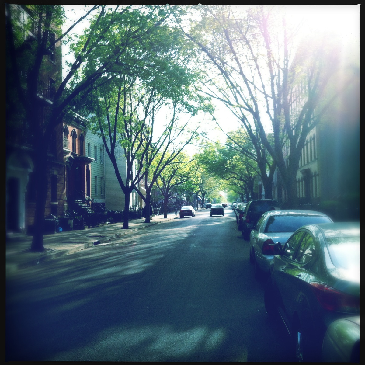 My side street – India in Greenpoint
