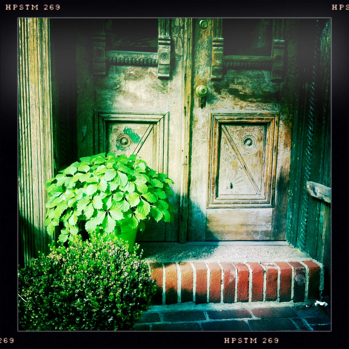 Vibrant Film Photography Storytelling