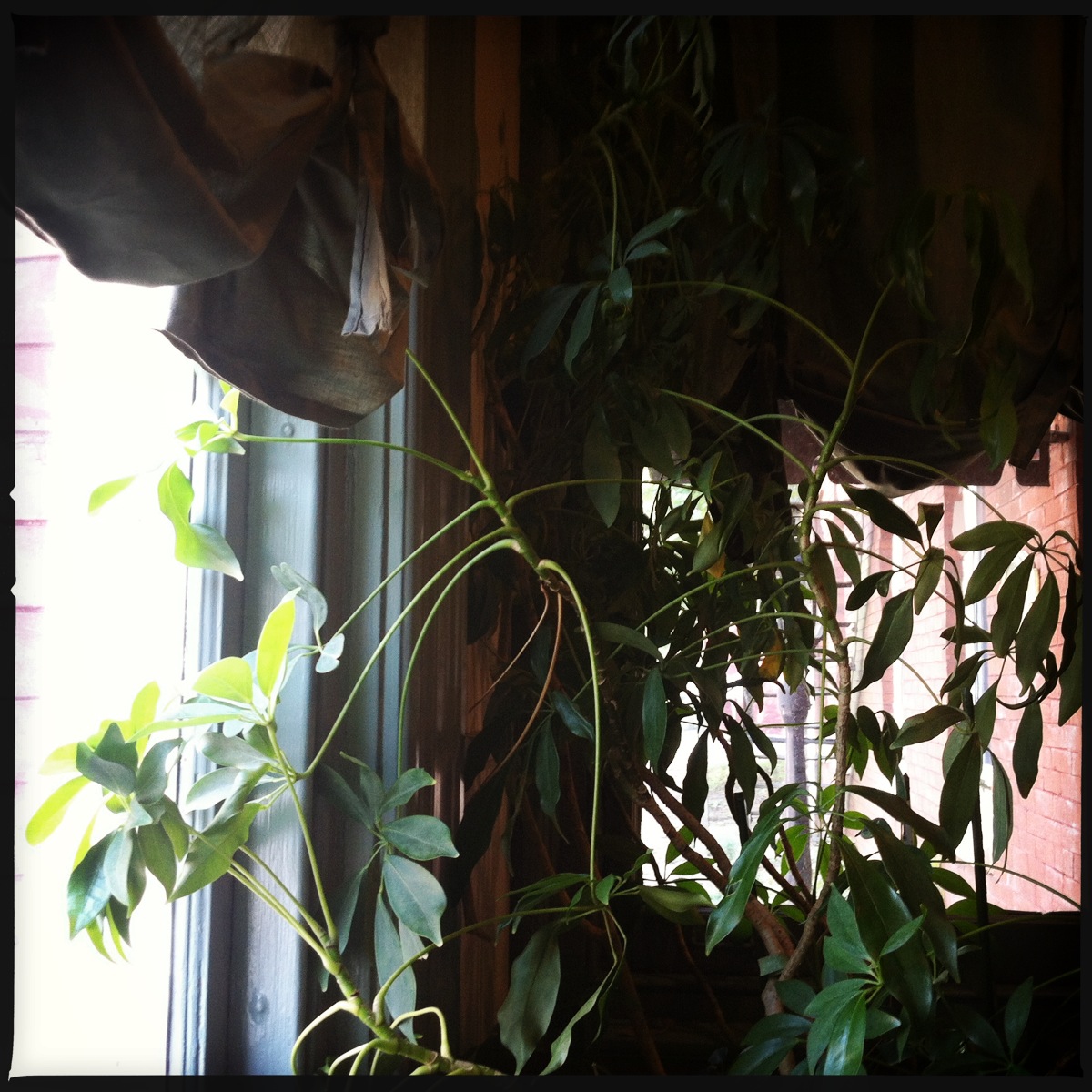 Hipstamatic Captures Unique Moments