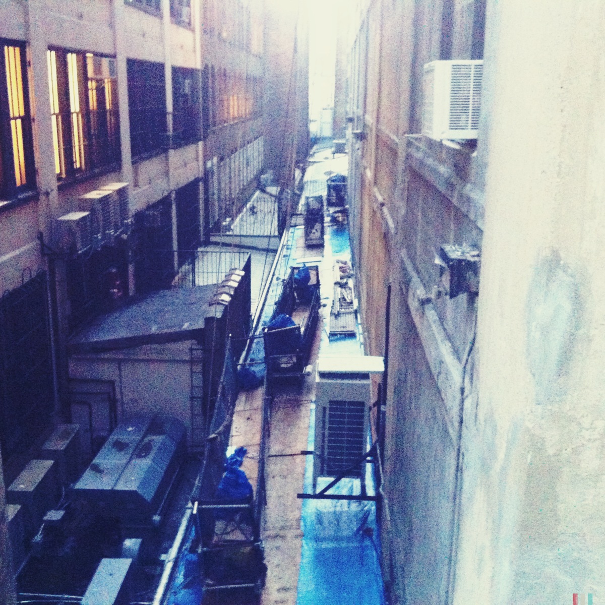 High Line park with @stefani.occhiuto