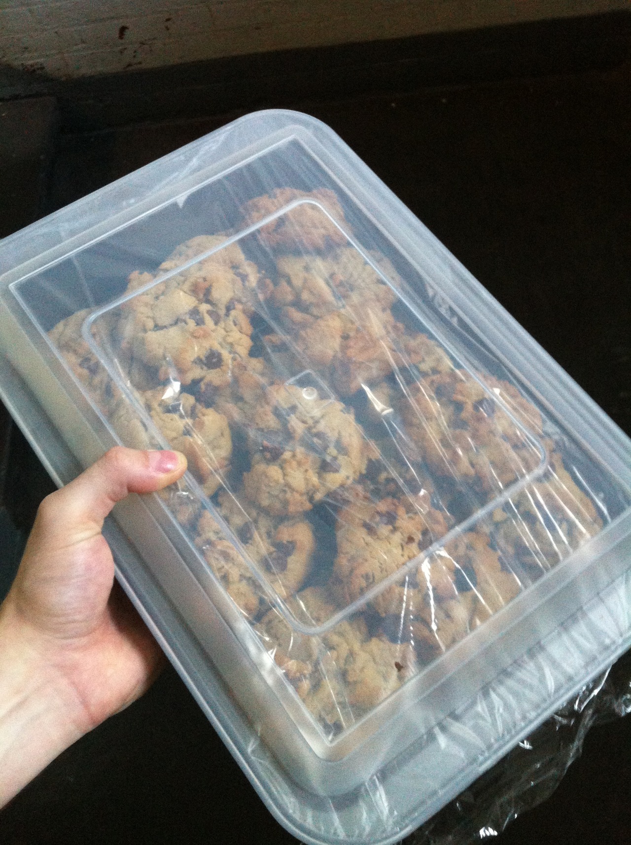 A person holding a container of freshly baked chocolate chip cookies.