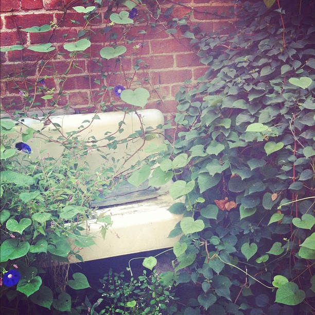 Charming Sunday Brunch in the Garden