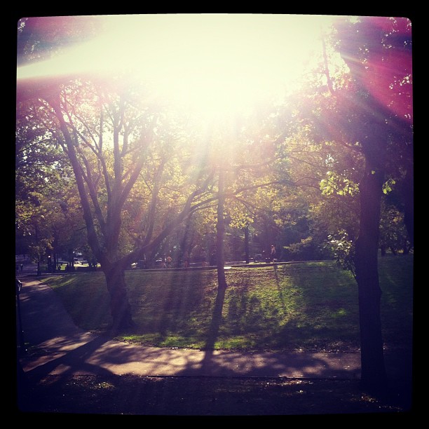 Central Park Delacorte Theater Experience