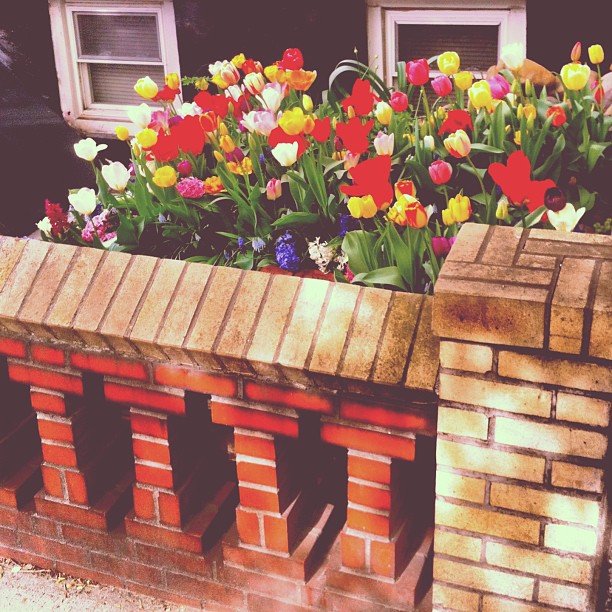 Greenpoint is more then green!