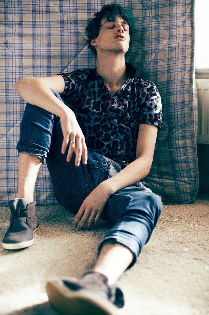 Are the Dinosaurs in Heaven?