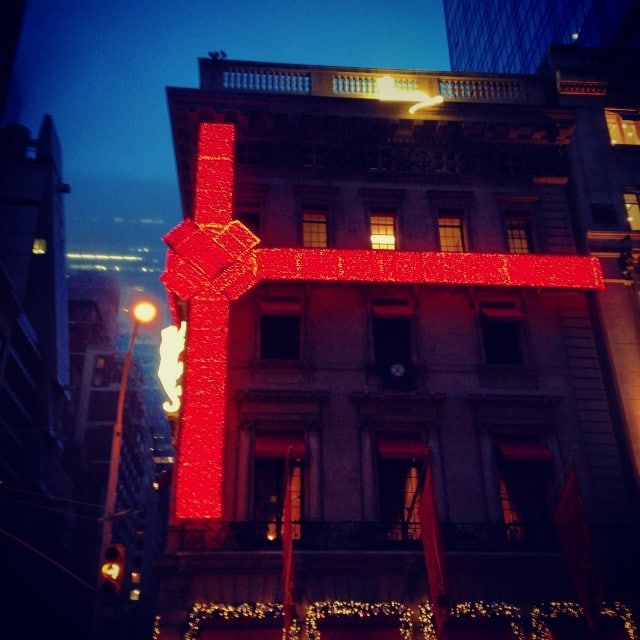 Snow Leopards: Beauty and Commentary