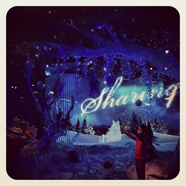 Macy’s Windows: A Holiday Spectacle