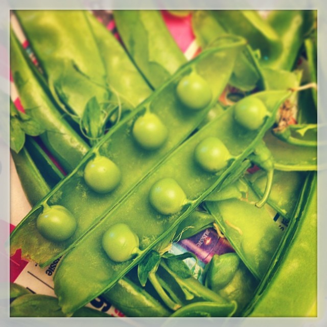 Peas Fresh from the Garden