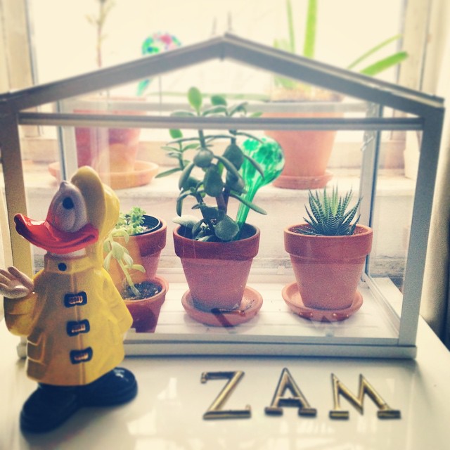 Just a little rain Donald