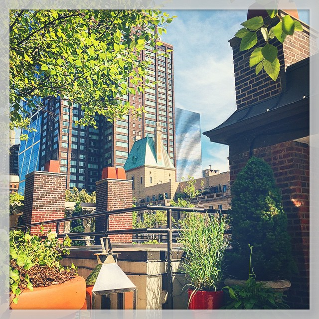 Sunshine, Rooftops, Non-Stop