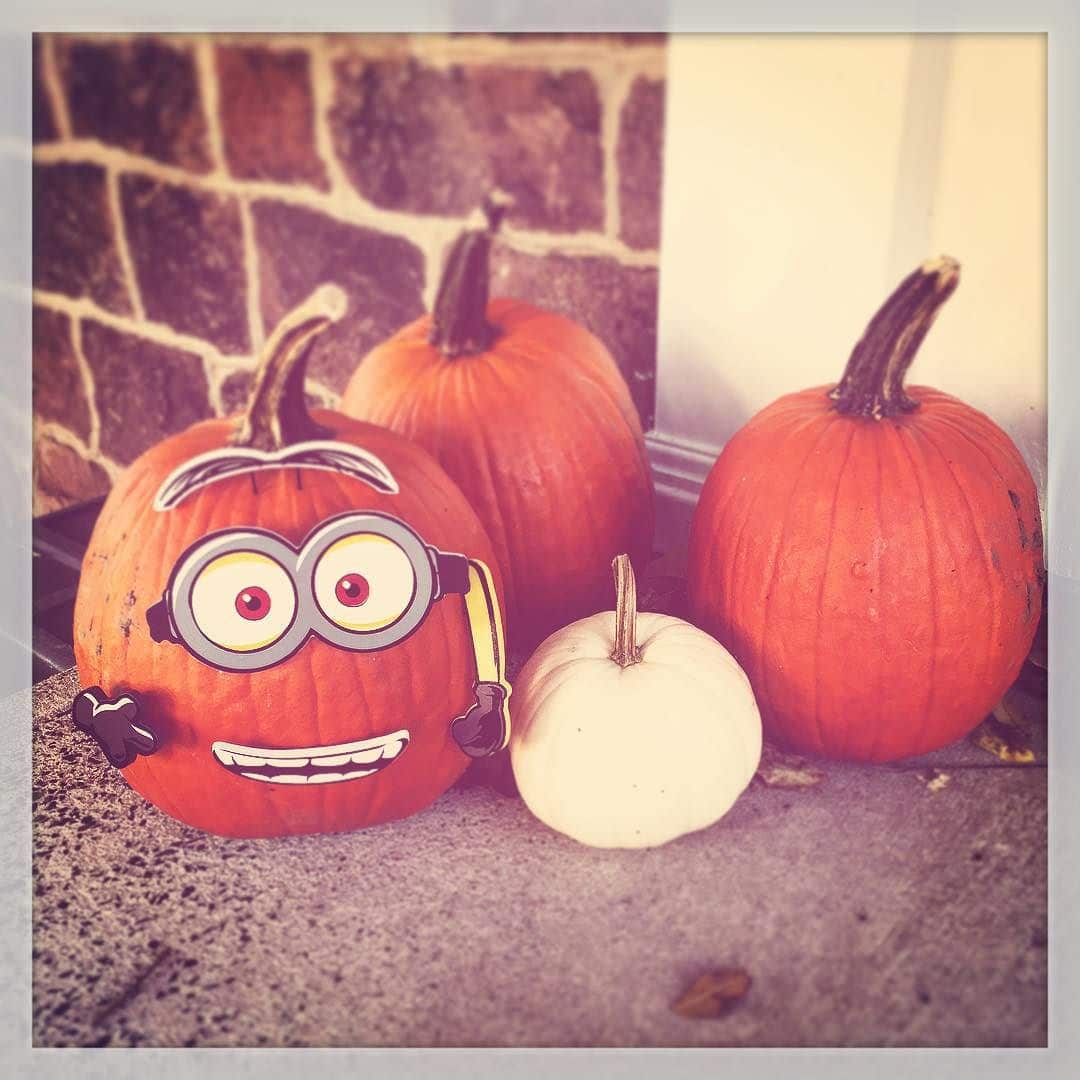 Despicable Pumpkin in PA