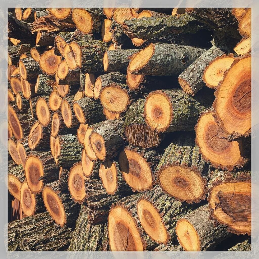 Fall Firewood 