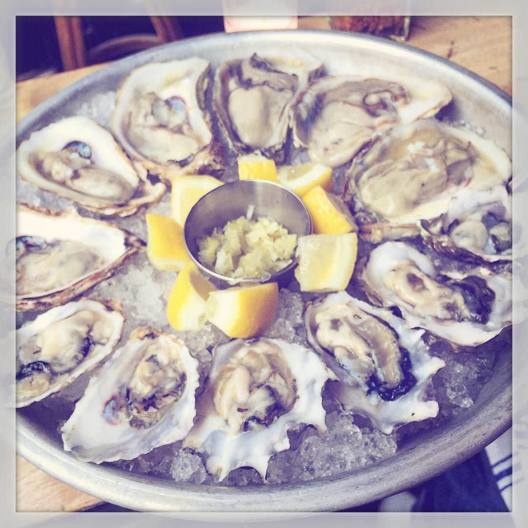 First Summer Oysters at Navy