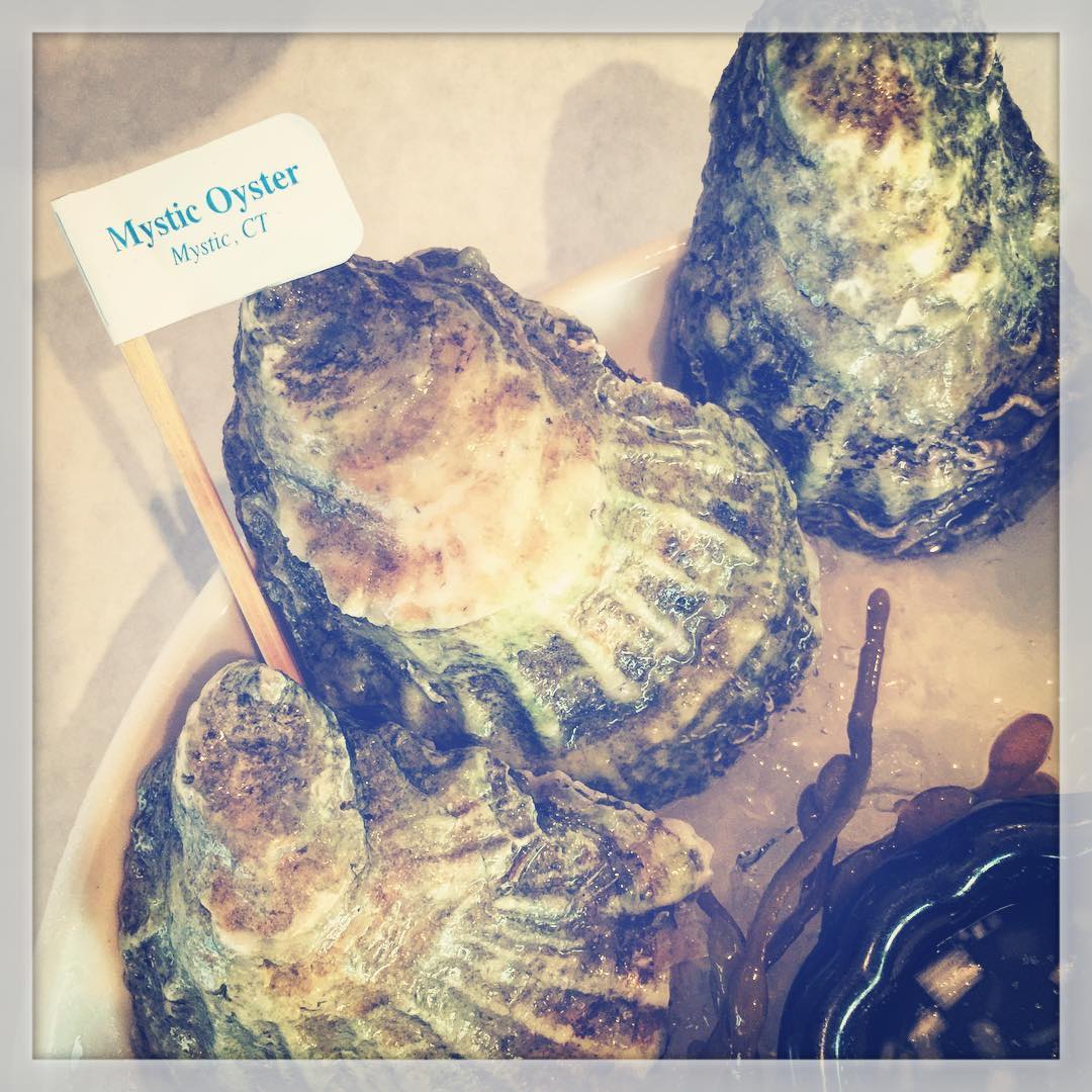 Mystic Oysters, Fresh