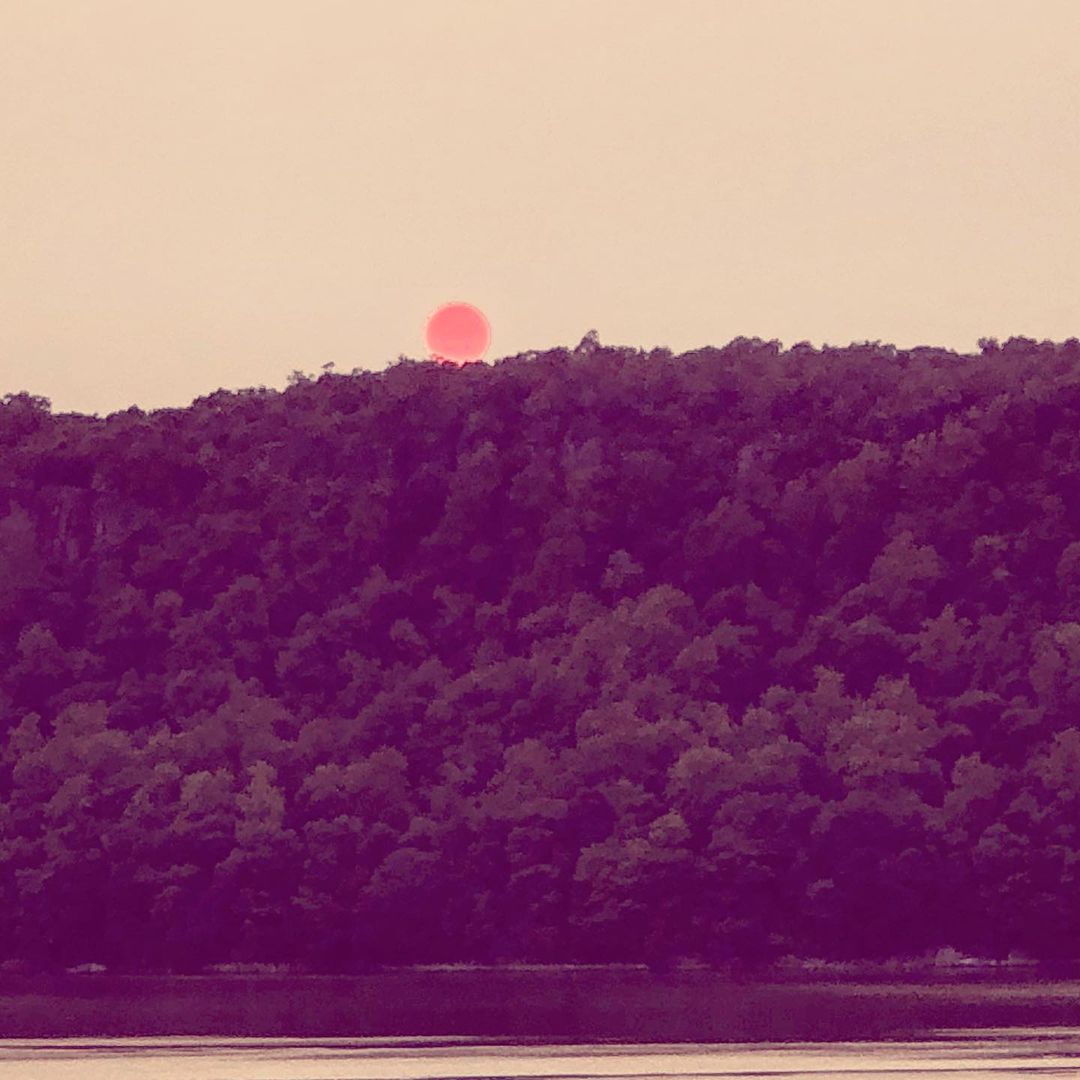 Tatooine Over the Hudson : Forest Fires
