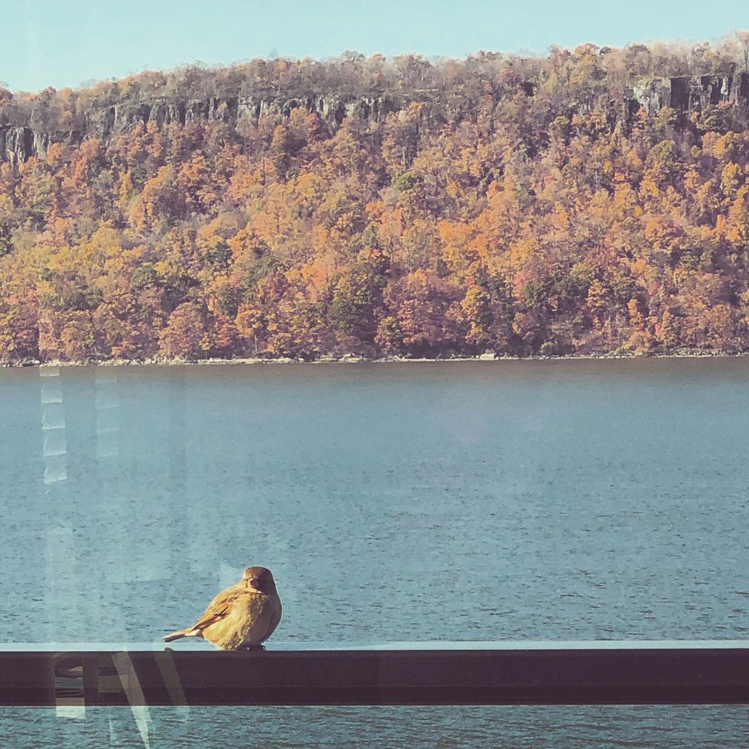 The world felt just a bit more friendly