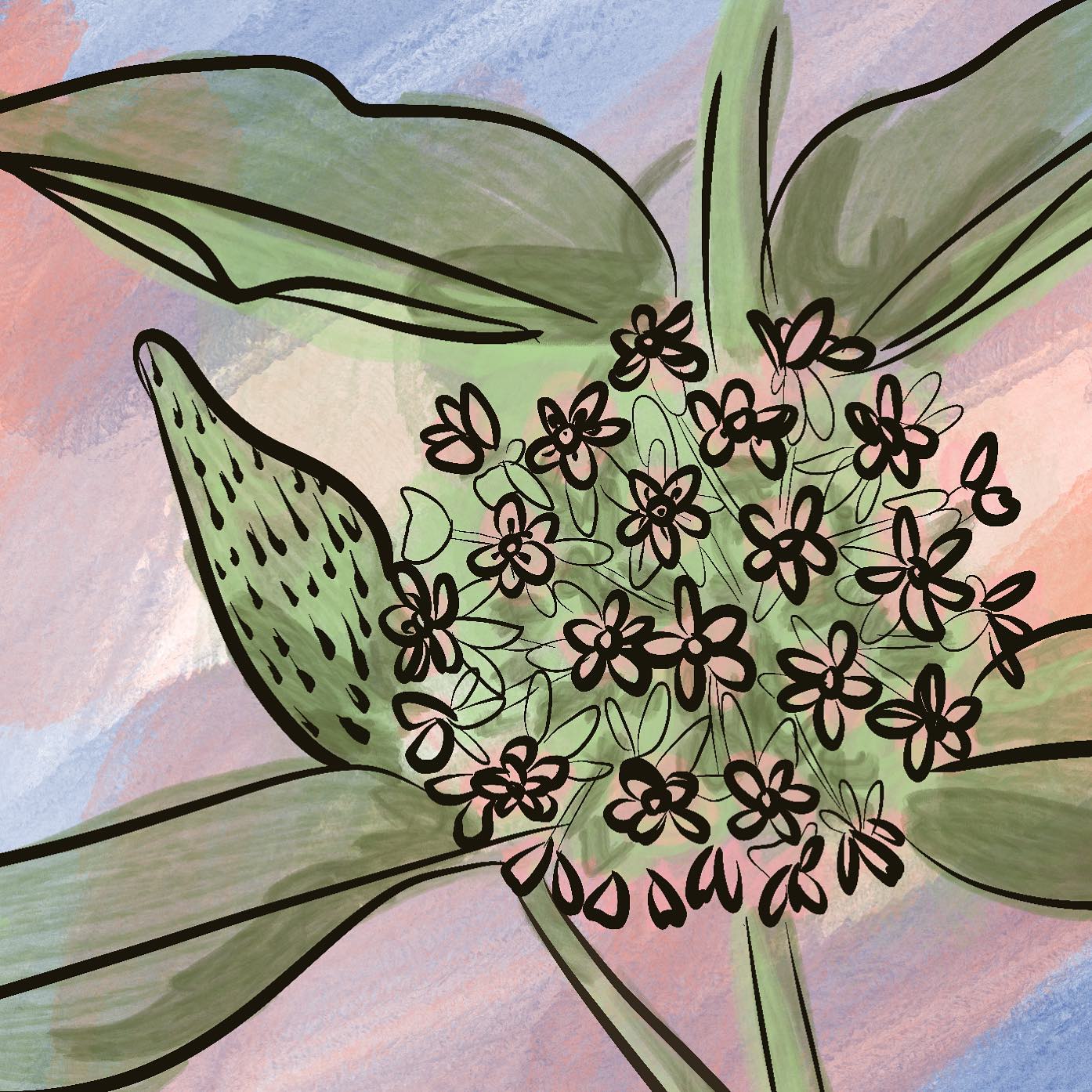 Capturing the Beauty of Nature: Milkweed in the Morning