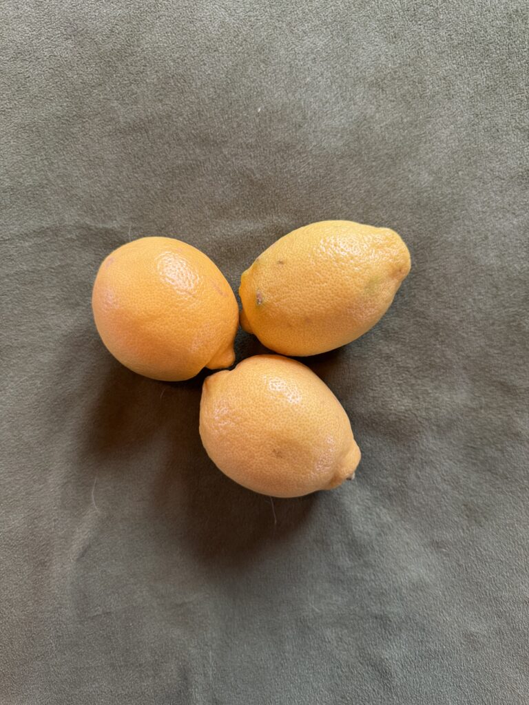 vesper martini ingredient lemon garnish