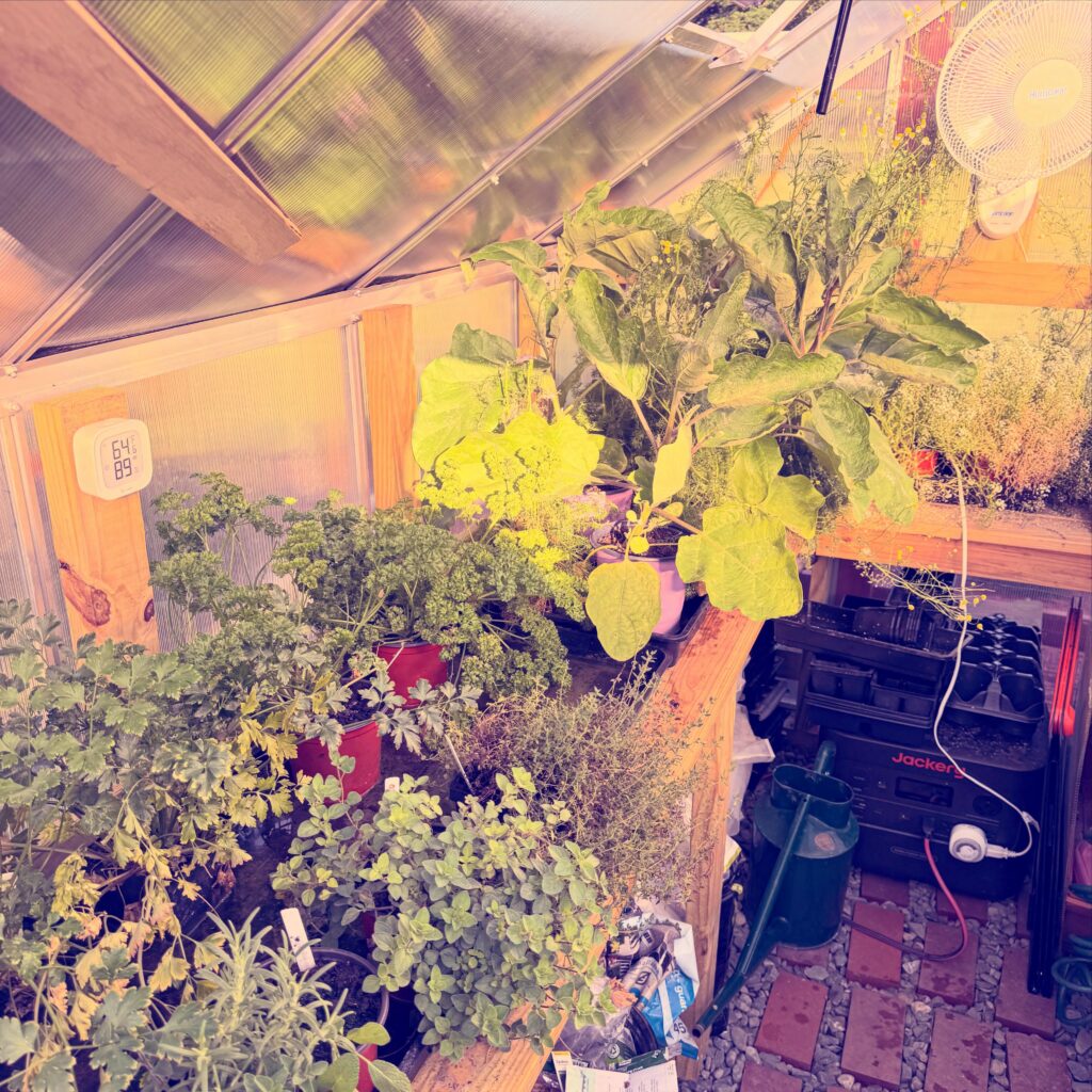 "Indoor Greenhouse Herb Garden"