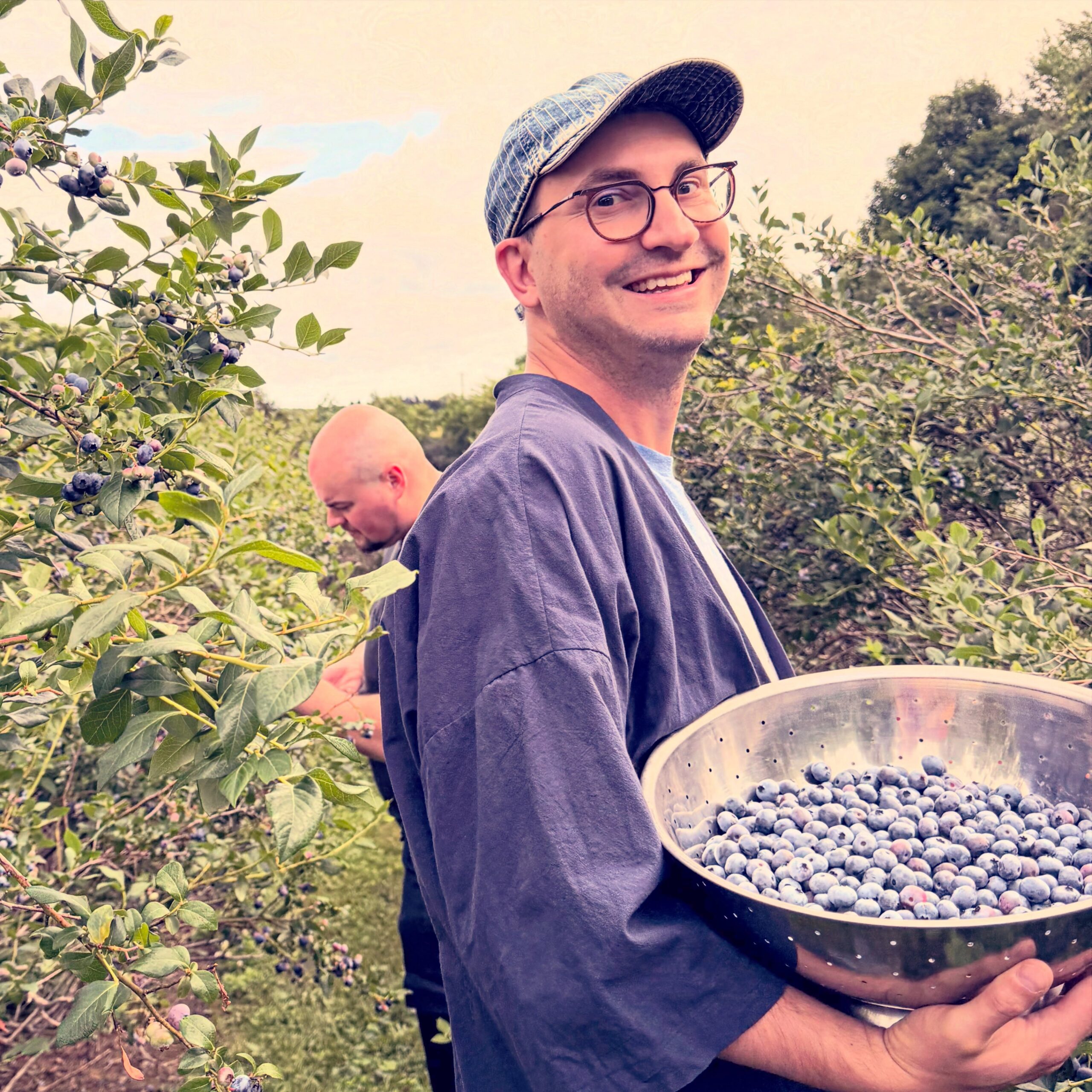Blueberry Picking Day: A Fresh Farm Harvest