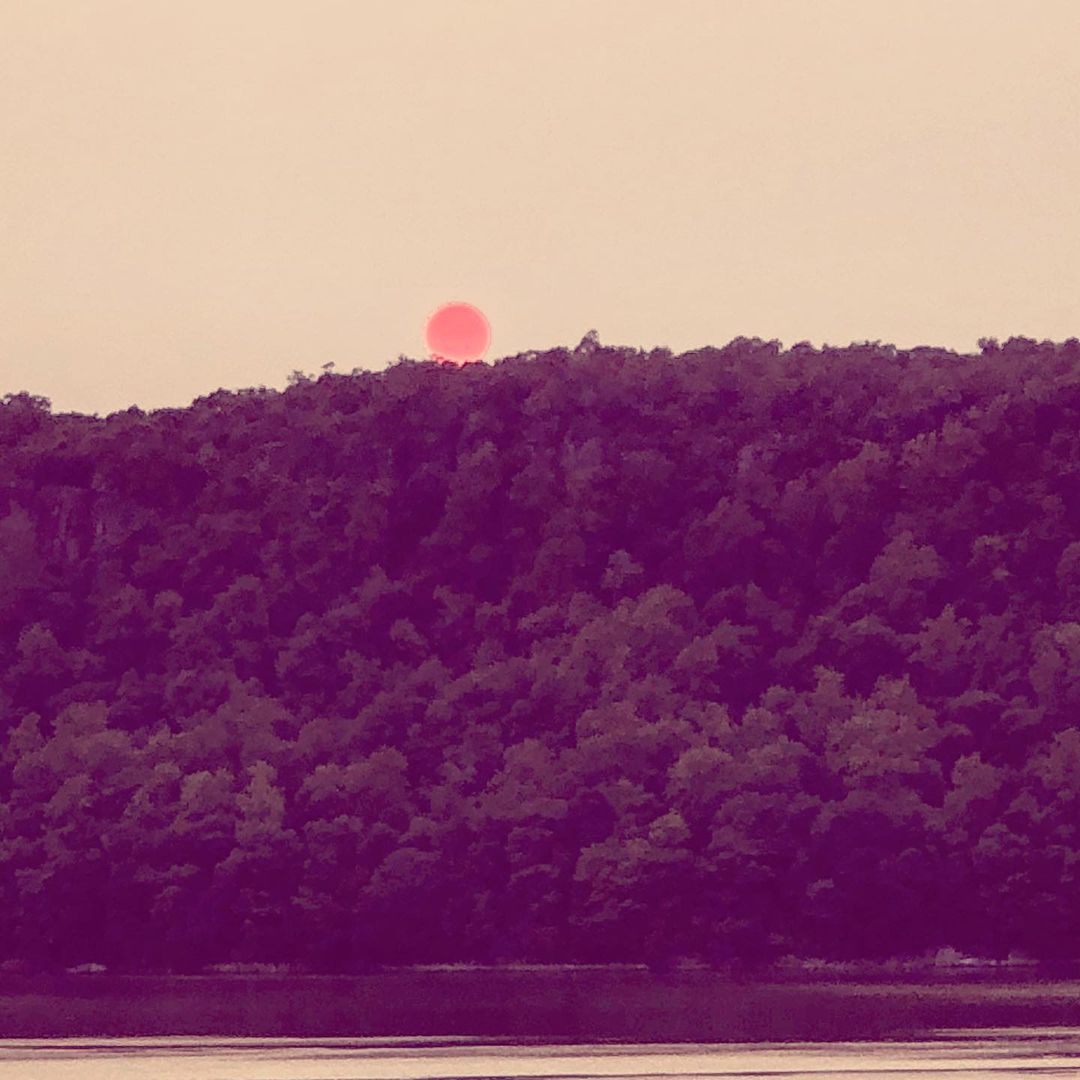 Tatooine Over the Hudson : Forest Fires