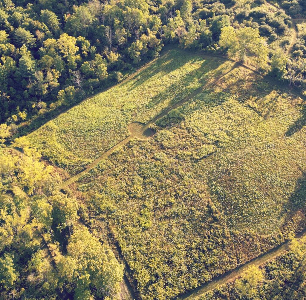 Lush Aerial View of Green Fields