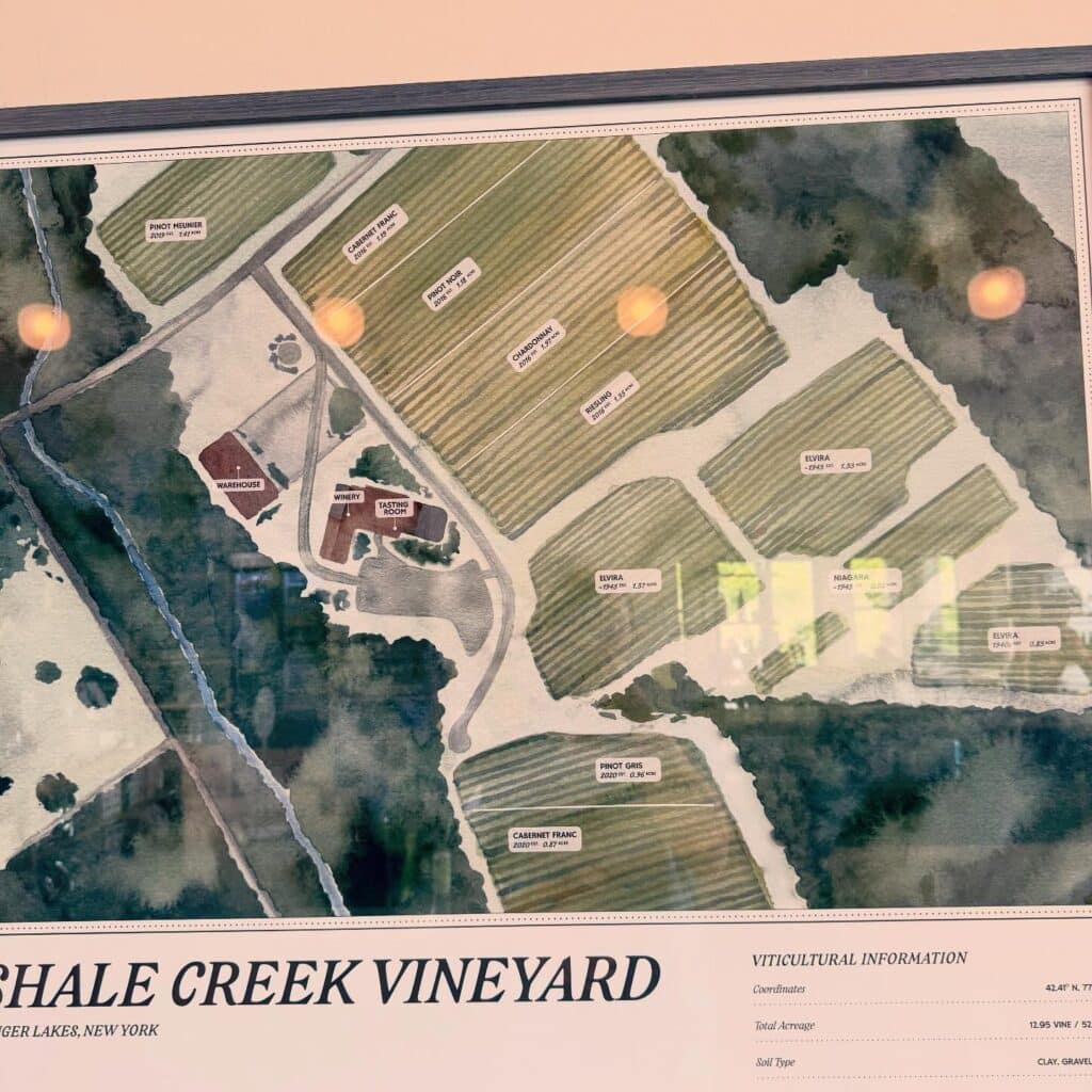 Shale Creek Vineyard Map Overview